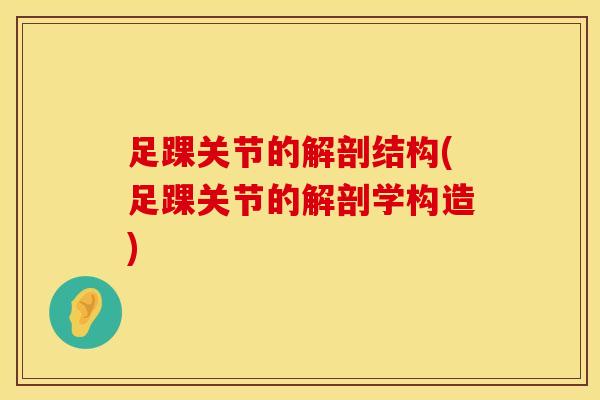足踝关节的解剖结构(足踝关节的解剖学构造)