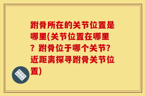 跗骨所在的关节位置是哪里(关节位置在哪里？跗骨位于哪个关节？近距离探寻跗骨关节位置)