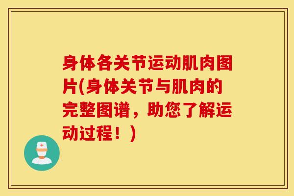身体各关节运动肌肉图片(身体关节与肌肉的完整图谱，助您了解运动过程！)