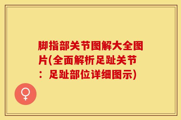 脚指部关节图解大全图片(全面解析足趾关节：足趾部位详细图示)