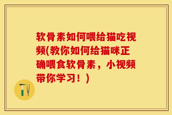 软骨素如何喂给猫吃视频(教你如何给猫咪正确喂食软骨素，小视频带你学习！)