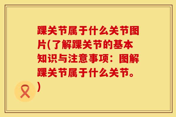 踝关节属于什么关节图片(了解踝关节的基本知识与注意事项：图解踝关节属于什么关节。)