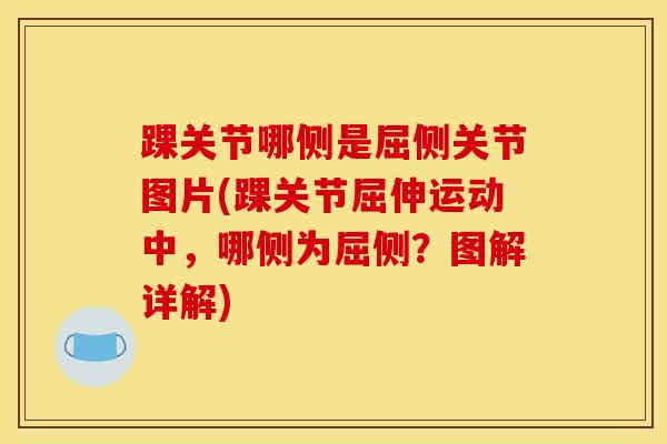 踝关节哪侧是屈侧关节图片(踝关节屈伸运动中，哪侧为屈侧？图解详解)
