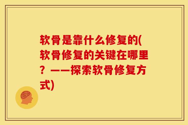 软骨是靠什么修复的(软骨修复的关键在哪里?——探索软骨修复方式) 软骨是靠什么修复的(软骨修复的关键在哪里?——探索软骨修复方式)