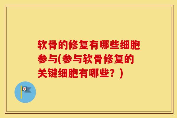 软骨的修复有哪些细胞参与(参与软骨修复的关键细胞有哪些？)