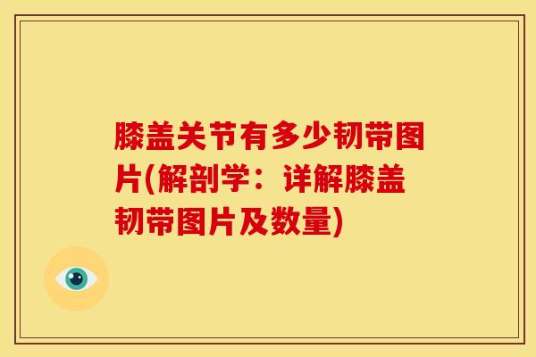 膝盖关节有多少韧带图片(解剖学：详解膝盖韧带图片及数量)
