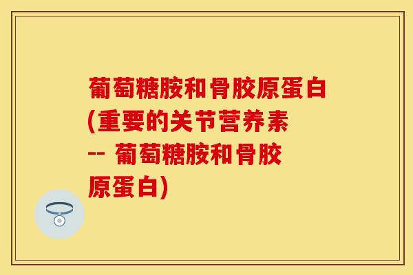 葡萄糖胺和骨胶原蛋白(重要的关节营养素 -- 葡萄糖胺和骨胶原蛋白)