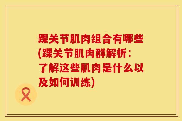 踝关节肌肉组合有哪些(踝关节肌肉群解析：了解这些肌肉是什么以及如何训练)