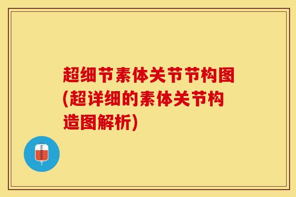 超细节素体关节节构图(超详细的素体关节构造图解析)