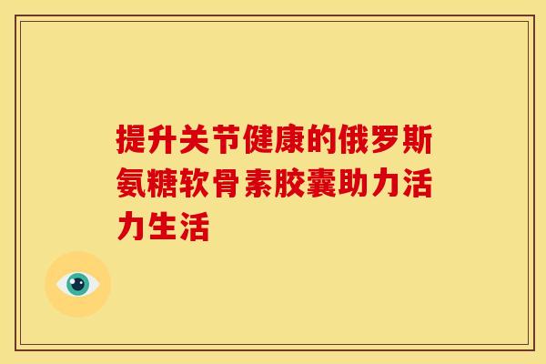 提升关节健康的俄罗斯氨糖软骨素胶囊助力活力生活