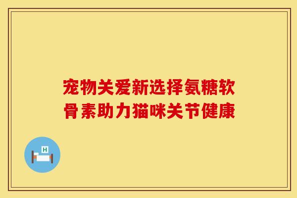 宠物关爱新选择氨糖软骨素助力猫咪关节健康