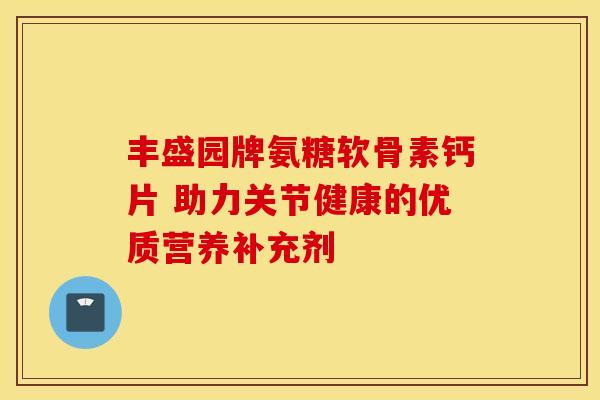 丰盛园牌氨糖软骨素钙片 助力关节健康的优质营养补充剂