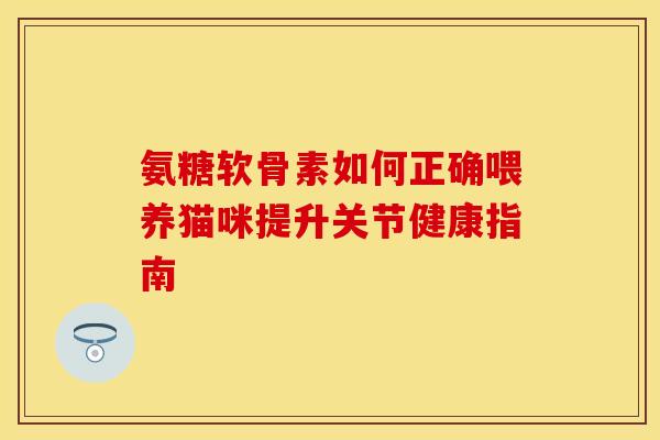 氨糖软骨素如何正确喂养猫咪提升关节健康指南