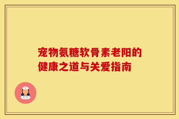 宠物氨糖软骨素老阳的健康之道与关爱指南