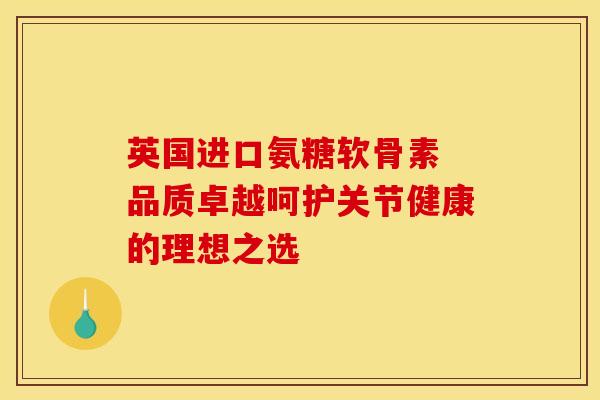 英国进口氨糖软骨素 品质卓越呵护关节健康的理想之选