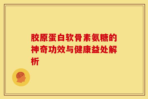胶原蛋白软骨素氨糖的神奇功效与健康益处解析