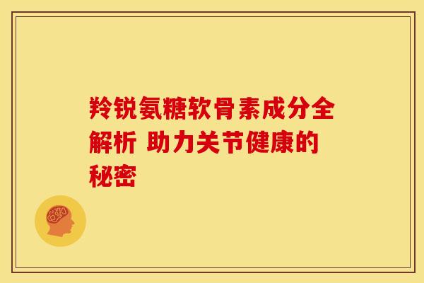 羚锐氨糖软骨素成分全解析 助力关节健康的秘密