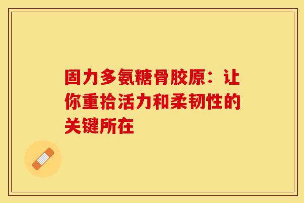 固力多氨糖骨胶原：让你重拾活力和柔韧性的关键所在