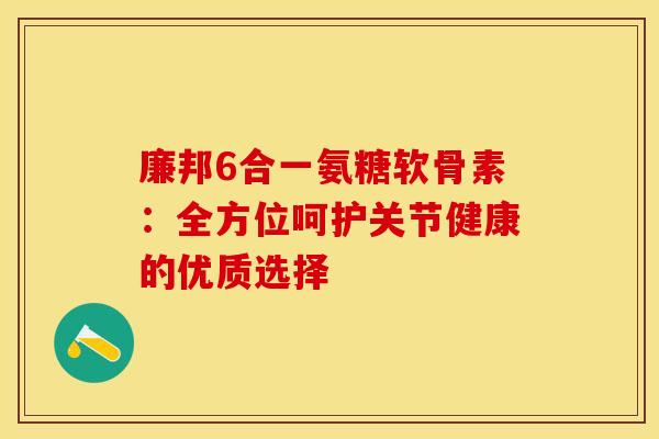 廉邦6合一氨糖软骨素：全方位呵护关节健康的优质选择