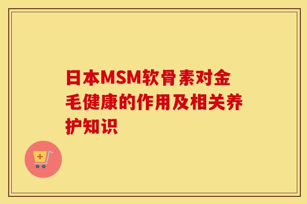 日本MSM软骨素对金毛健康的作用及相关养护知识