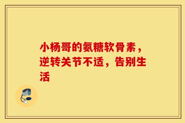 小杨哥的氨糖软骨素,逆转关节不适,告别生活 小杨哥的氨糖软骨素,逆转关节不适,告别生活
