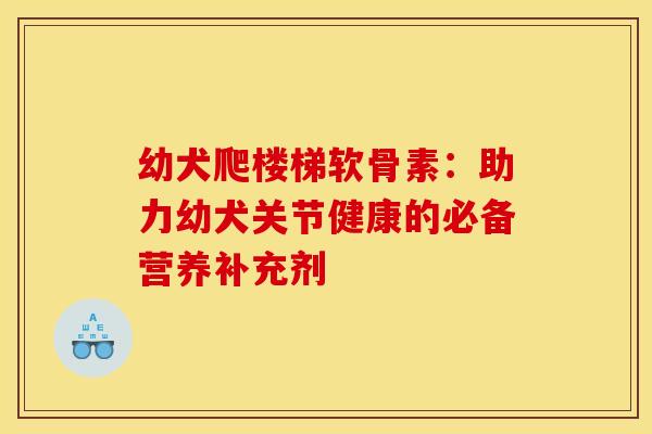 幼犬爬楼梯软骨素：助力幼犬关节健康的必备营养补充剂