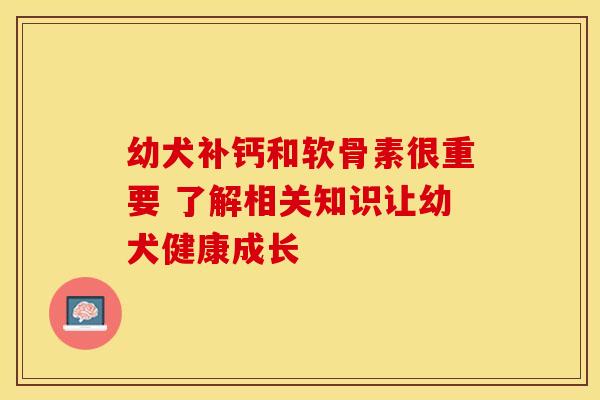 幼犬补钙和软骨素很重要 了解相关知识让幼犬健康成长