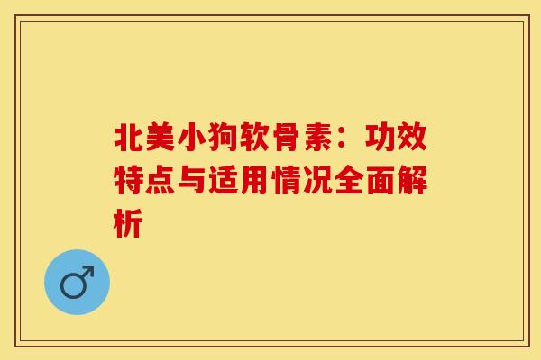 北美小狗软骨素：功效特点与适用情况全面解析