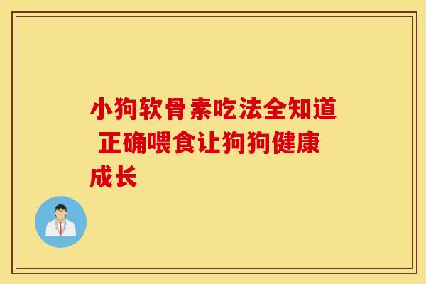 小狗软骨素吃法全知道 正确喂食让狗狗健康成长