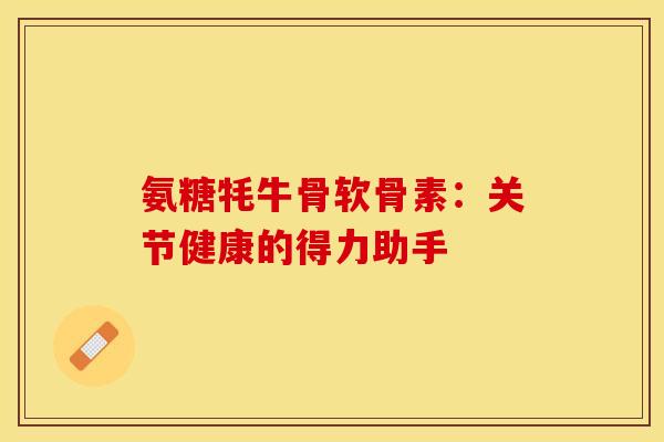 氨糖牦牛骨软骨素：关节健康的得力助手