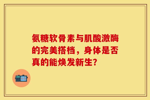 氨糖软骨素与肌酸激酶的完美搭档，身体是否真的能焕发新生？