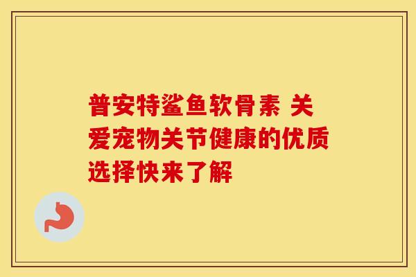 普安特鲨鱼软骨素 关爱宠物关节健康的优质选择快来了解