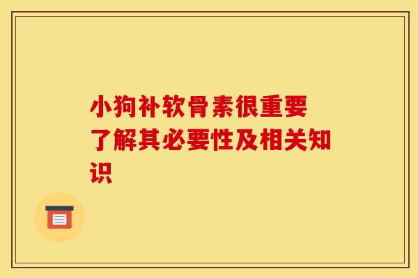 小狗补软骨素很重要 了解其必要性及相关知识 小狗补软骨素很重要 了解其必要性及相关知识