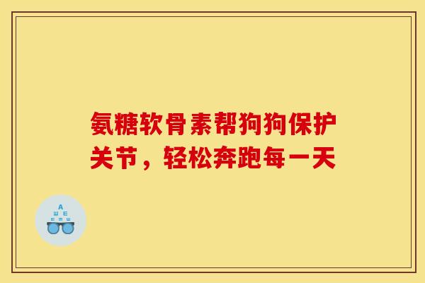 氨糖软骨素帮狗狗保护关节，轻松奔跑每一天