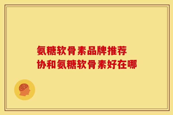 氨糖软骨素品牌推荐 协和氨糖软骨素好在哪
