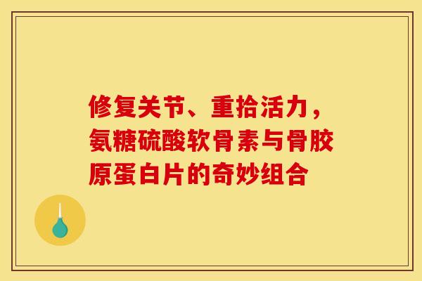 修复关节、重拾活力，氨糖硫酸软骨素与骨胶原蛋白片的奇妙组合