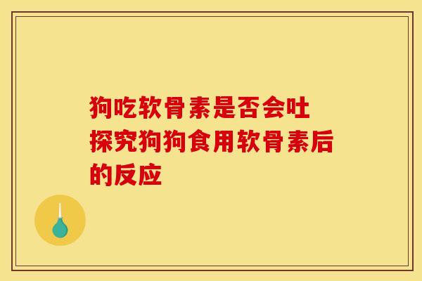 狗吃软骨素是否会吐 探究狗狗食用软骨素后的反应