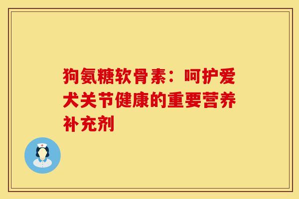 狗氨糖软骨素：呵护爱犬关节健康的重要营养补充剂