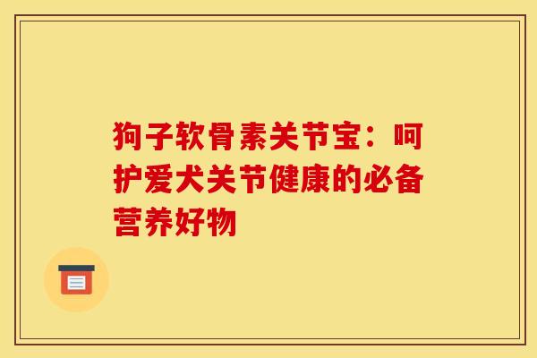 狗子软骨素关节宝：呵护爱犬关节健康的必备营养好物
