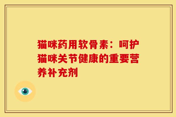 猫咪药用软骨素：呵护猫咪关节健康的重要营养补充剂