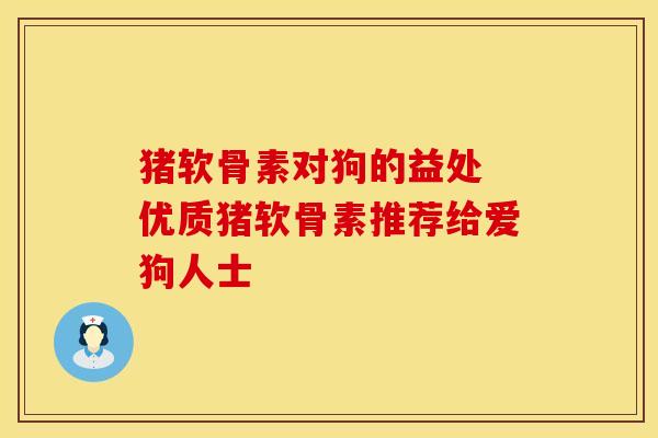 猪软骨素对狗的益处 优质猪软骨素推荐给爱狗人士