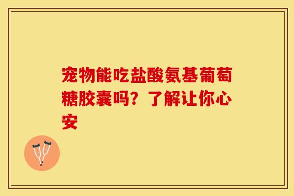 宠物能吃盐酸氨基葡萄糖胶囊吗？了解让你心安