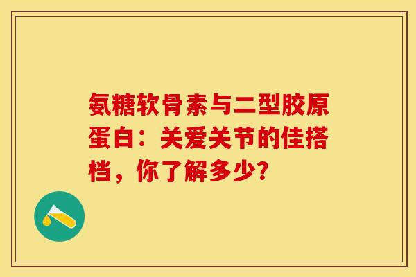 氨糖软骨素与二型胶原蛋白：关爱关节的佳搭档，你了解多少？