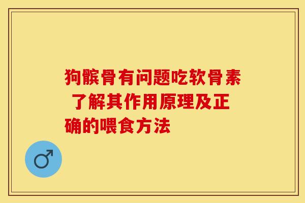 狗髌骨有问题吃软骨素 了解其作用原理及正确的喂食方法