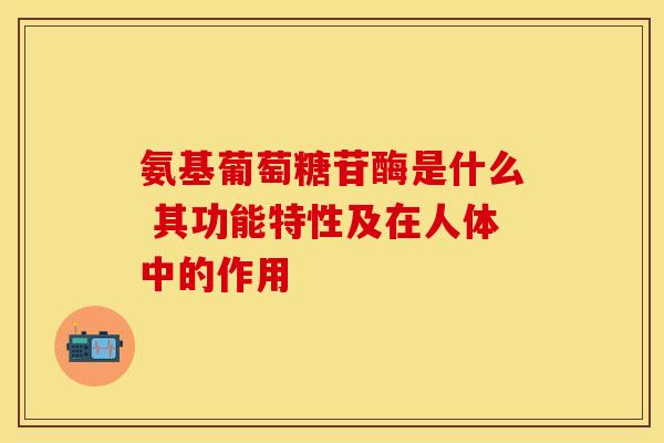 氨基葡萄糖苷酶是什么 其功能特性及在人体中的作用