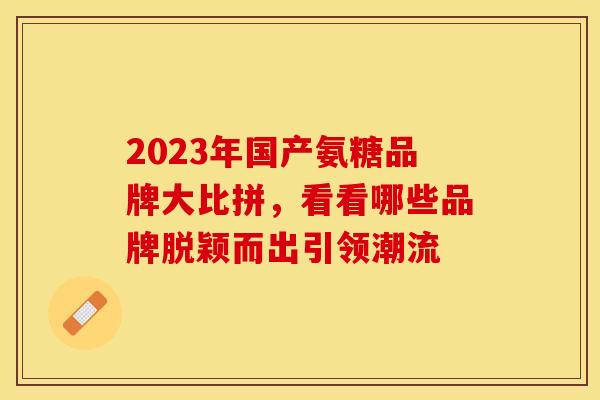 2023年国产氨糖品牌大比拼，看看哪些品牌脱颖而出引领潮流