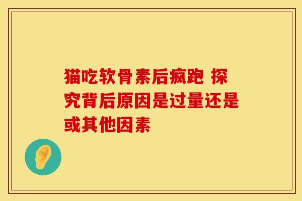 猫吃软骨素后疯跑 探究背后原因是过量还是或其他因素