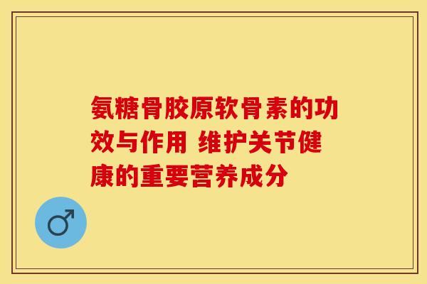 氨糖骨胶原软骨素的功效与作用 维护关节健康的重要营养成分