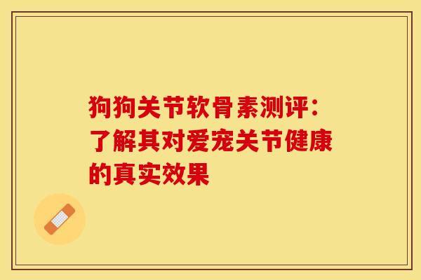 狗狗关节软骨素测评：了解其对爱宠关节健康的真实效果
