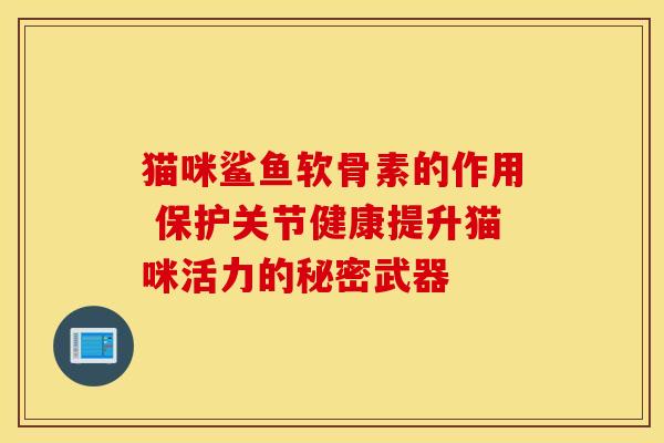 猫咪鲨鱼软骨素的作用 保护关节健康提升猫咪活力的秘密武器